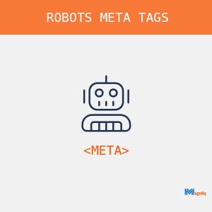 Robots Meta Tag for Magento 2